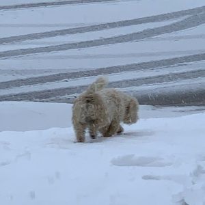 Meet your Posher, Moises